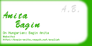 anita bagin business card